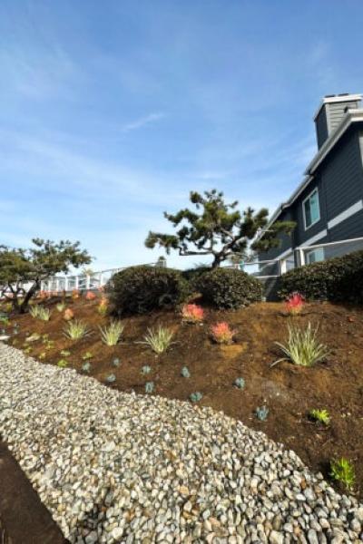 Landscape Design Example 350x466